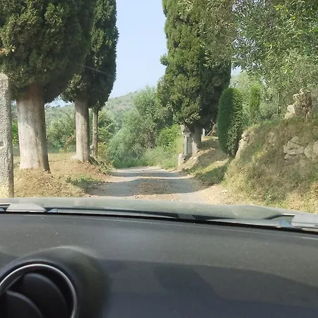 Monolocale In Campagna * Camporosso (Liguria)