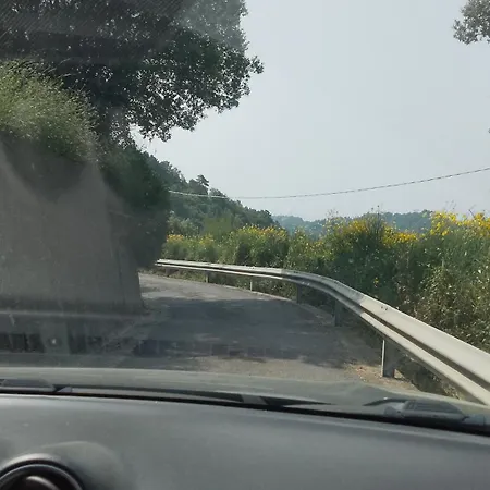 Monolocale In Campagna * Camporosso (Liguria)